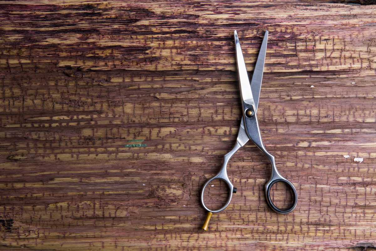 Choosing Apprentice Hair Scissors Guide - Scissor Hub Australia