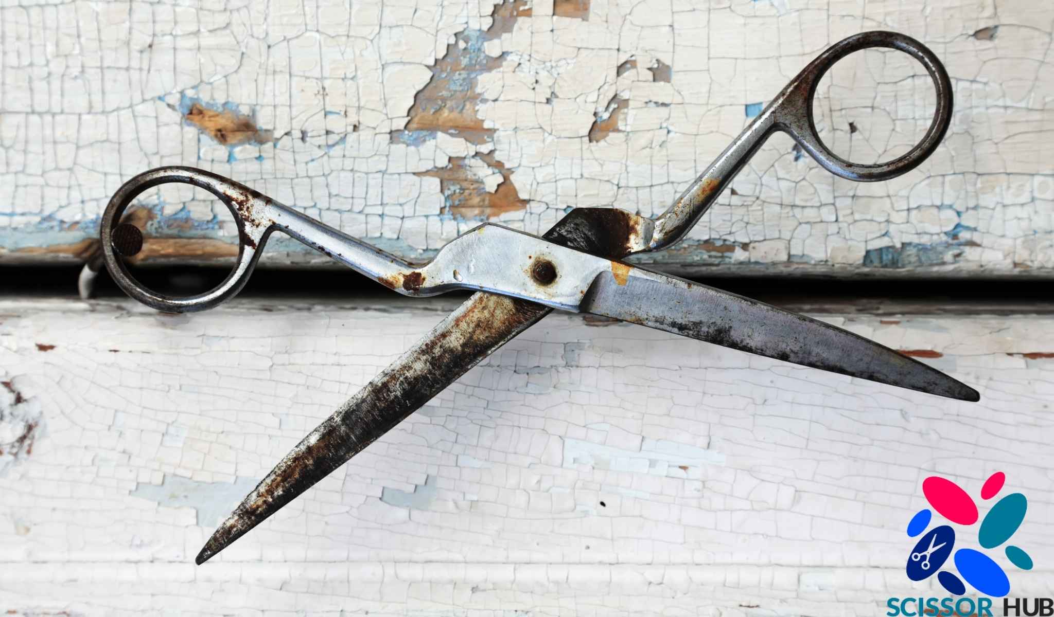 The Top 5 Reasons Hair Scissors Get Rusty: And How to Stop It - Scissor ...