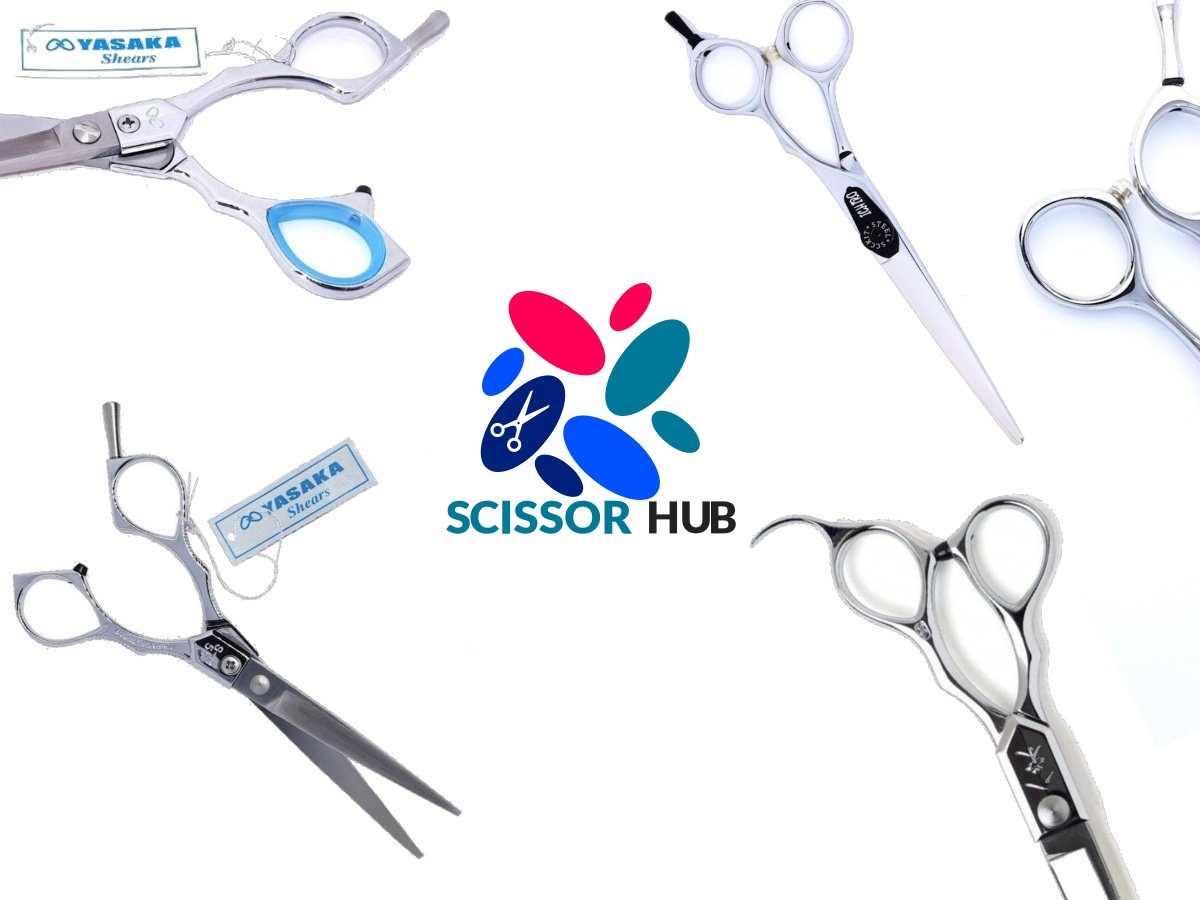 10 Ways to Sharpen Hair Scissors & Keep Them Sharp: Professional