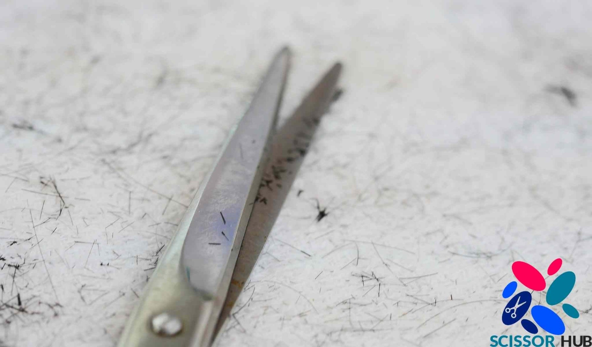 Why Do Scissors Have a Space Between the Blades? Bevelled & Convex Gap - Scissor Hub Australia
